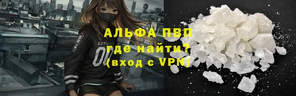 прущие грибы Мегион