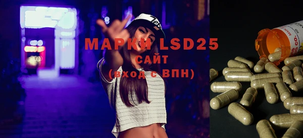 молекула духа Медвежьегорск