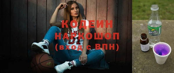 молекула духа Медвежьегорск