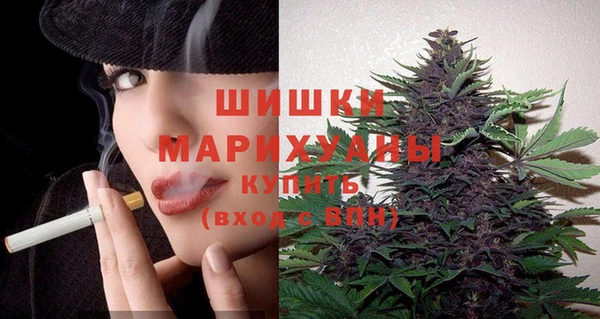 прущие грибы Мегион
