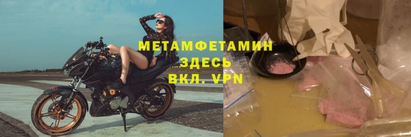 прущие грибы Медногорск