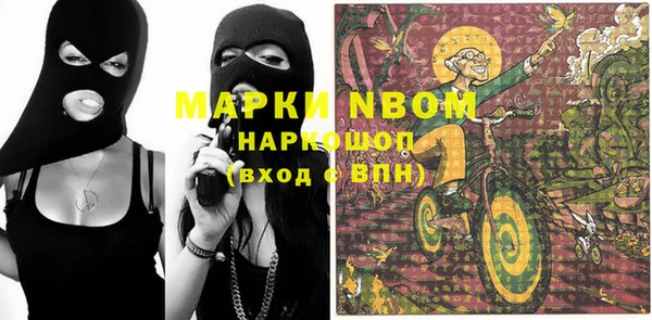 молекула духа Медвежьегорск