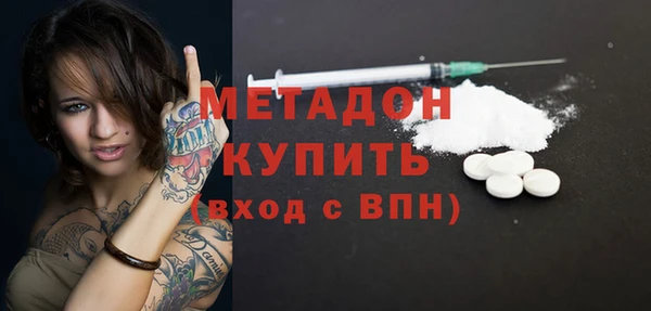 прущие грибы Медногорск