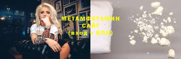 прущие грибы Мегион