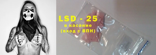 прущие грибы Мегион