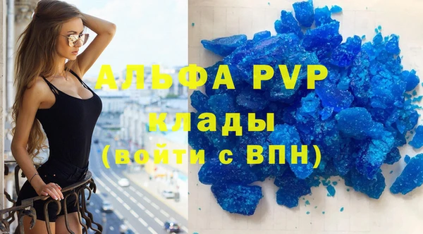прущие грибы Медногорск