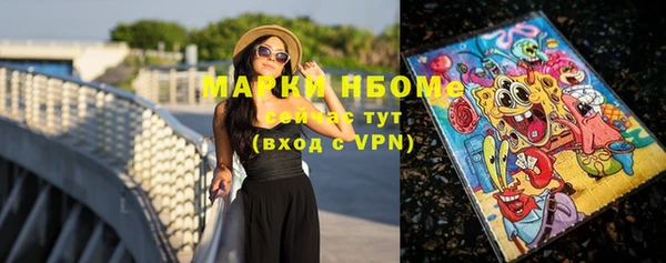 молекула духа Медвежьегорск