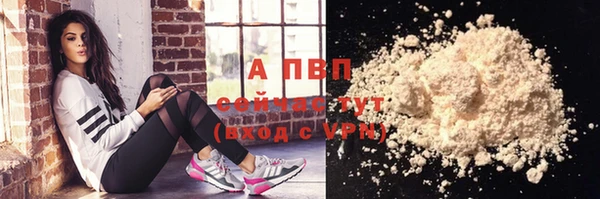 прущие грибы Медногорск