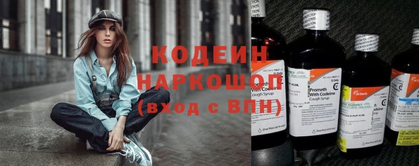 прущие грибы Мегион