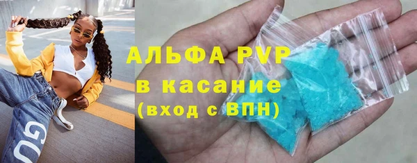 прущие грибы Мегион