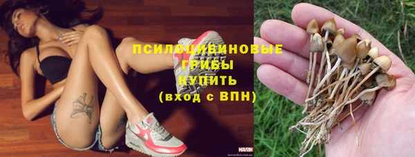 молекула духа Медвежьегорск