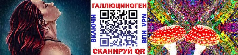 блэк спрут ONION  Ильский  Псилоцибиновые грибы Psilocybine cubensis 