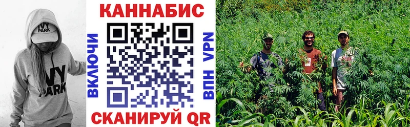 Шишки марихуана гибрид  цена   Ильский 